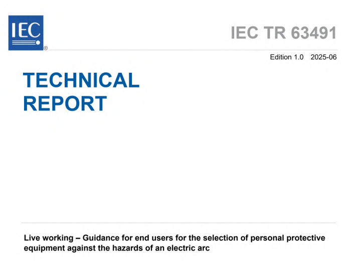 IEC TR 63491:2025 pdf download